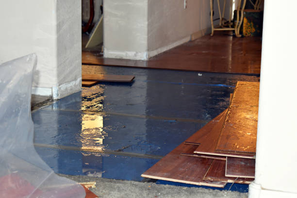 Professional Sewage Cleanup technician working in Stockton, MO